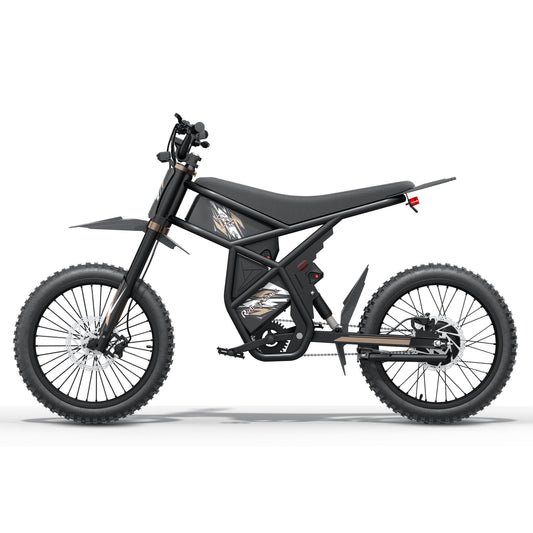 RIDING TIMES
 GT73 /PRO Electric Motorbike