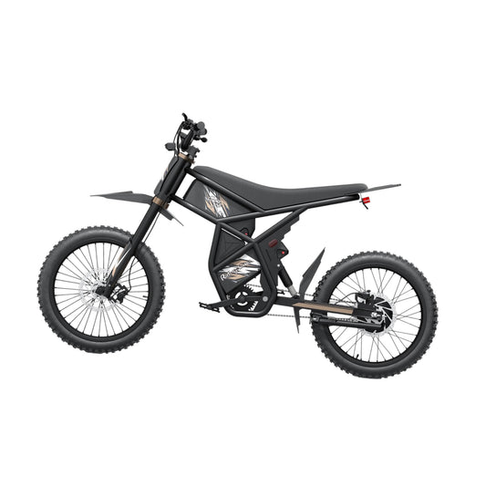 RIDING TIMES
 GT73 /PRO Electric Motorbike